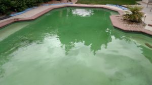 Pool before Ozone treatment